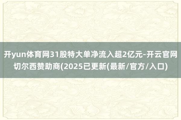 开yun体育网31股特大单净流入超2亿元-开云官网切尔西赞助商(2025已更新(最新/官方/入口)