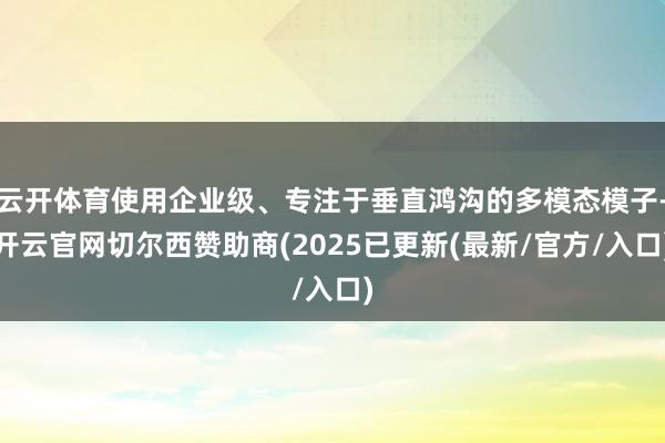 云开体育使用企业级、专注于垂直鸿沟的多模态模子-开云官网切尔西赞助商(2025已更新(最新/官方/入口)