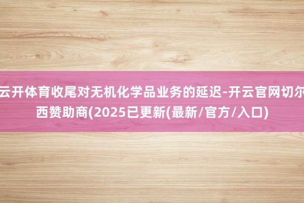 云开体育收尾对无机化学品业务的延迟-开云官网切尔西赞助商(2025已更新(最新/官方/入口)