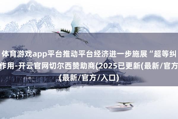 体育游戏app平台推动平台经济进一步施展“超等纠合”的作用-开云官网切尔西赞助商(2025已更新(最新/官方/入口)